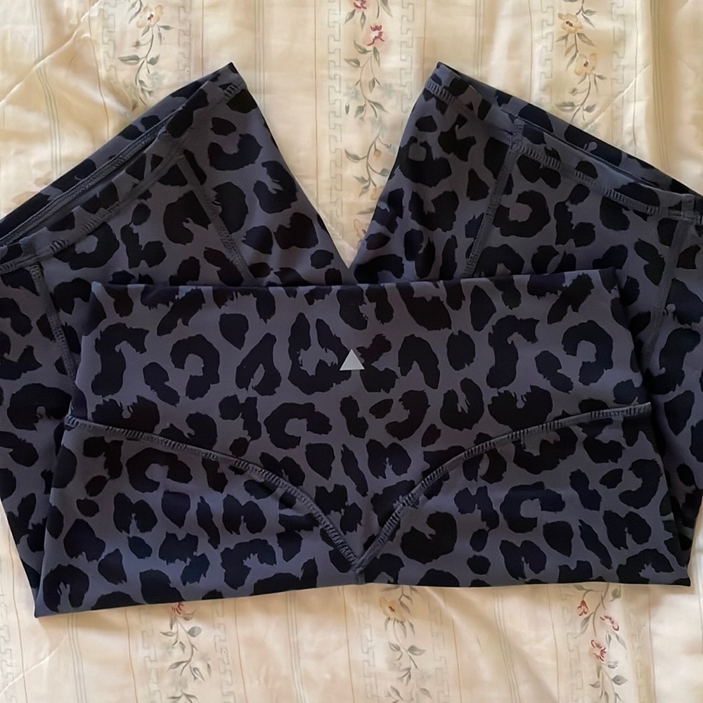 The Ascend Rider Short - King Cheetah Midnight